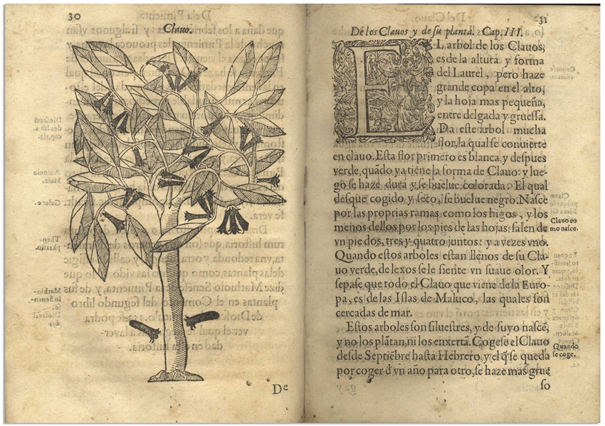 1578 First Edition of ''Tractado de las drogas, y medicinas de las Indias Orientales'' -- The Important Reference of Therapeutic Botany From the Age of Exploration, Complete With All 48 Woodcuts